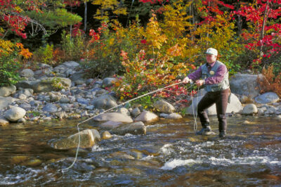 Bamboo vs Graphite:  Choosing the Right Fly Rod for Small Stream Trout