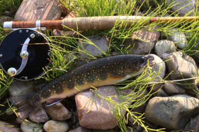Bamboo Fly Rods: Rick Robbins Custom Handcrafted Maker Review